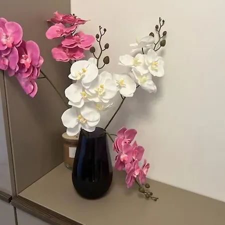 Apartment Und Stadt, Neben Mannheim, Heidelberg, Worms Lampertheim