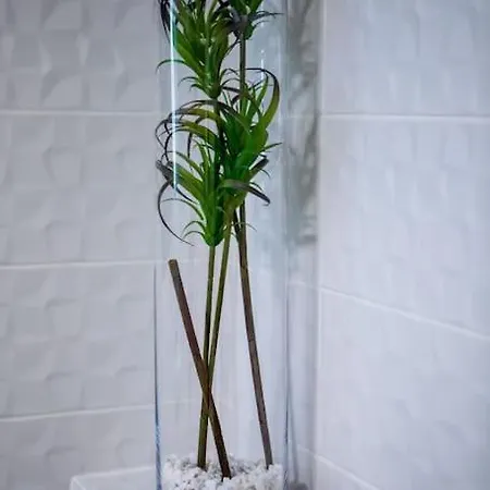 Und Stadt, Neben Mannheim, Heidelberg, Worms Apartment