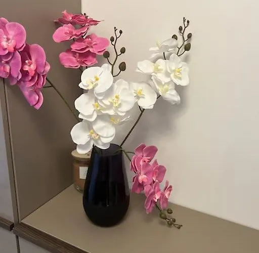 Apartman Und Stadt, Neben Mannheim, Heidelberg, Worms Lampertheim